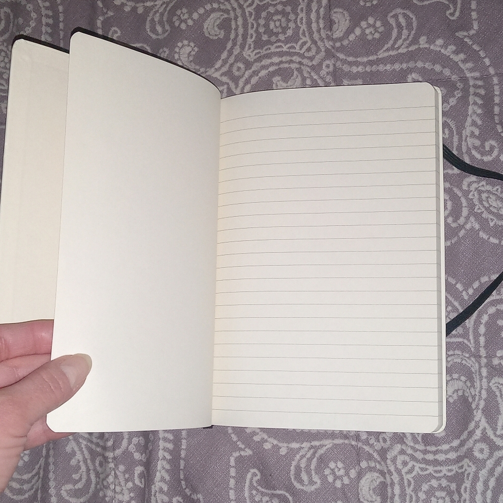New Little Red Riding Hood Journal - Picture 9 of 10